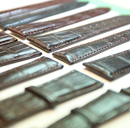 图2-孟加拉虎-用户-成都浪琴维修服务中心